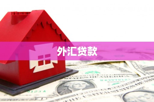 金堂外汇贷款