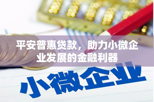金堂平安普惠贷款，助力小微企业发展的金融利器