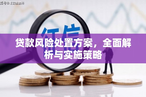 金堂贷款风险处置方案，全面解析与实施策略